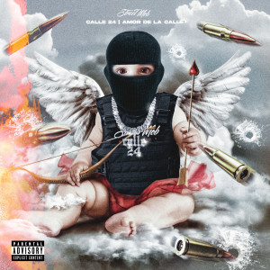 Album AMOR DE LA CALLE (Explicit) from Calle 24