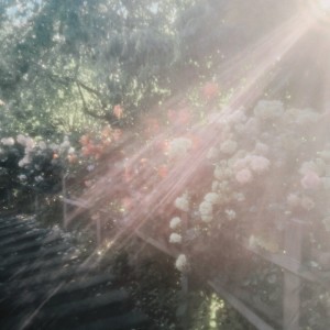 Listen to 楽園 song with lyrics from Olt