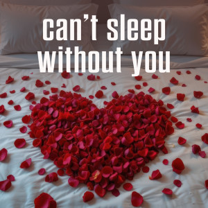 อัลบัม can't sleep without you ศิลปิน Various