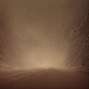 Album Distant Resonator from Ryani
