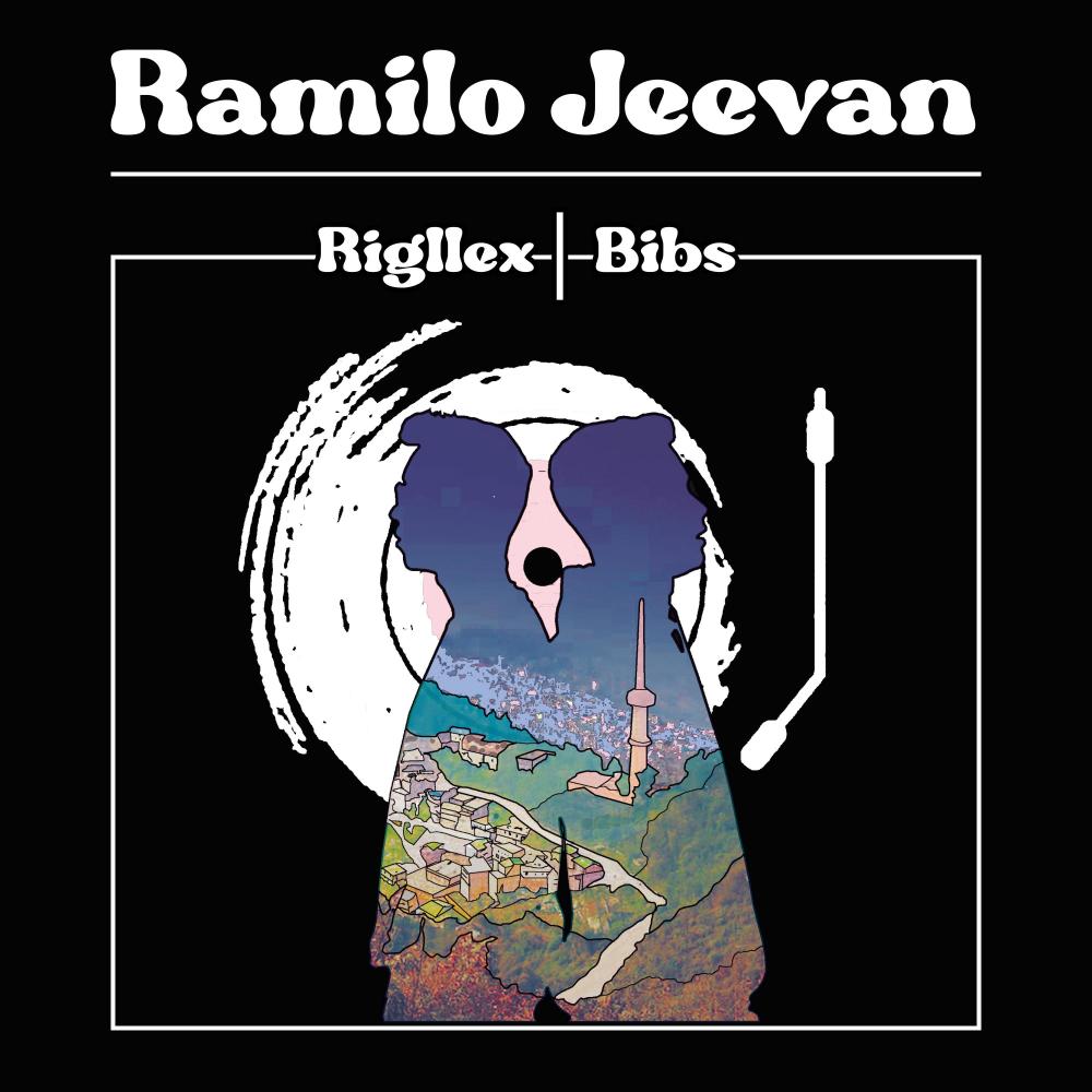 Mero Maan (feat. DJ Bibs, Rahul & Avineet)