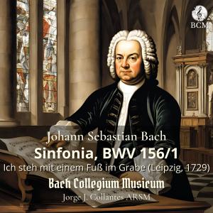 ดาวน์โหลดและฟังเพลง Ich steh mit einem Fuß im Grabe, BWV 156/1: Sinfonia พร้อมเนื้อเพลงจาก Jorge J. Collantes