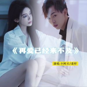 Album 从此不再拥有你 from 小阿兴