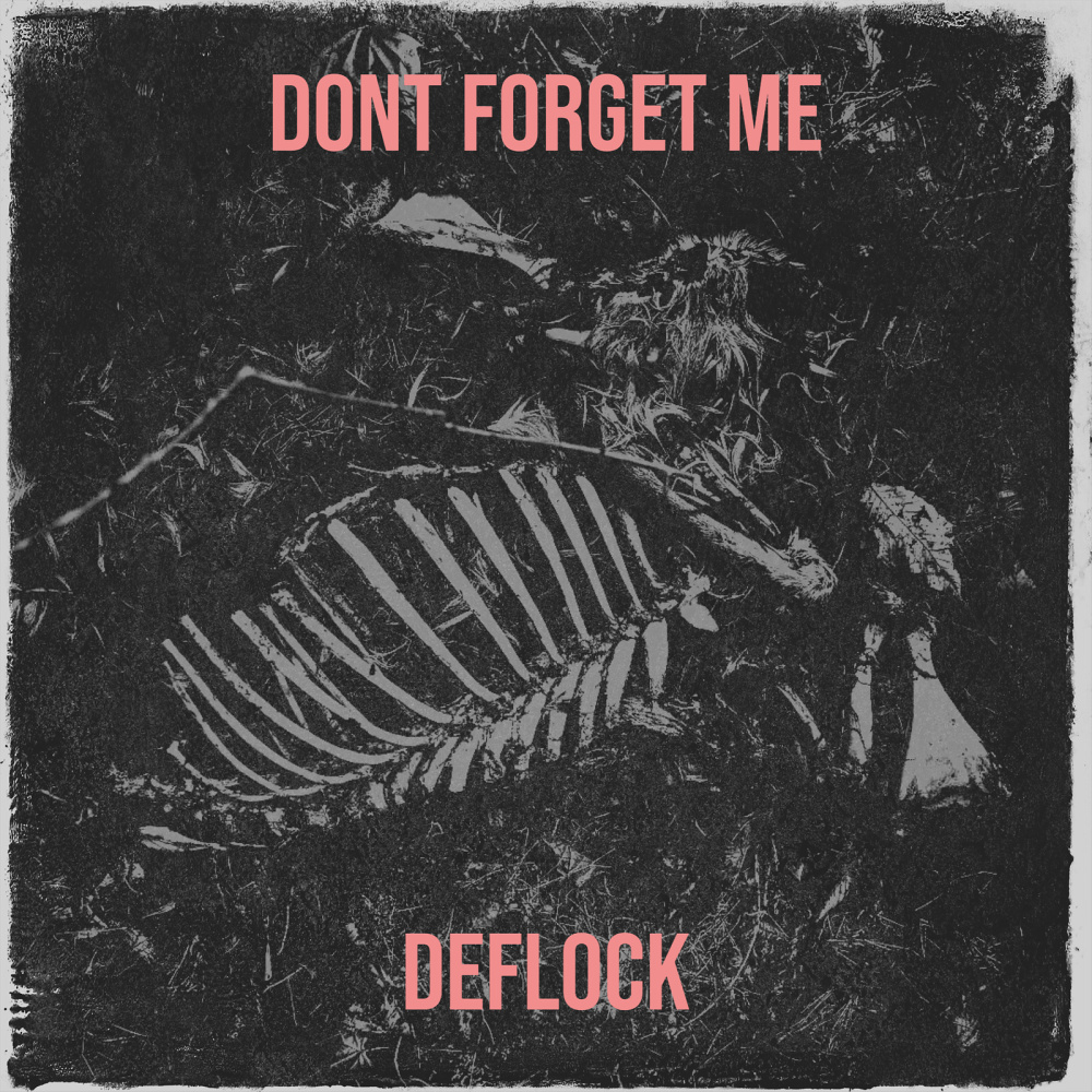 Dont Forget Me (Explicit)