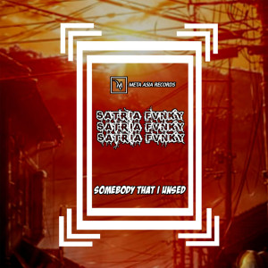 Album Somebody That I Used from Satria Fvnky RMX