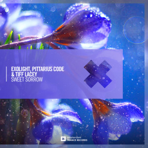 ดาวน์โหลดและฟังเพลง Sweet Sorrow (Extended Mix) พร้อมเนื้อเพลงจาก Exolight