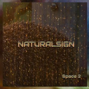 Naturalsign的專輯Space 2
