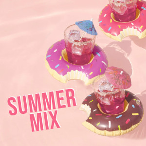 Album Summer Mix (Explicit) from Various Artists