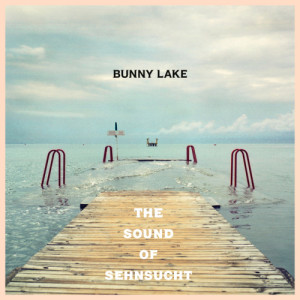 ดาวน์โหลดและฟังเพลง Satellite Sky พร้อมเนื้อเพลงจาก Bunny Lake