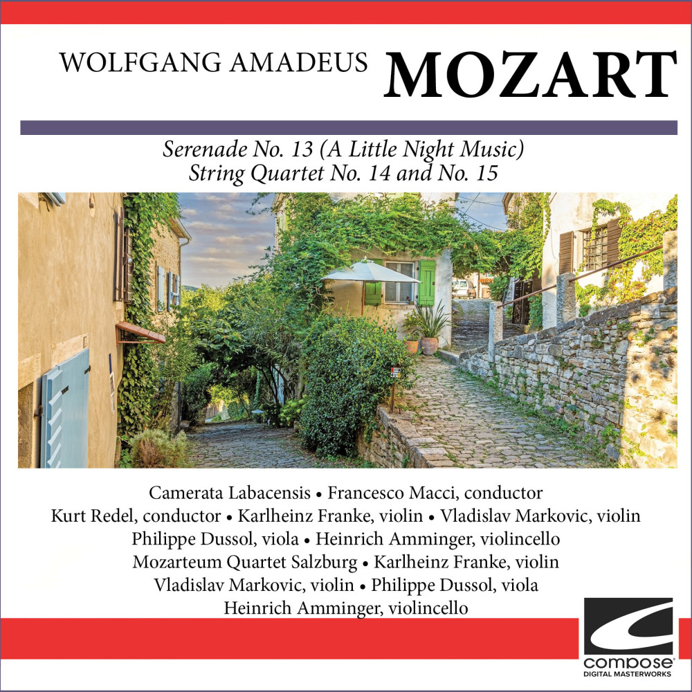Mozart - String Quartet No. 15 KV 421 in D minor (Haydn Quartet No. 2) - Allegro ma non troppo