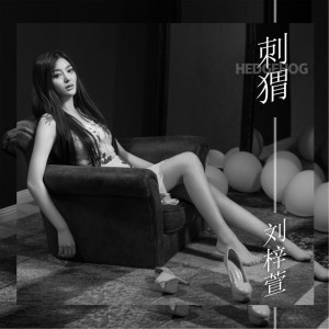 Listen to 刺猬 (伴奏) song with lyrics from 刘梓萱