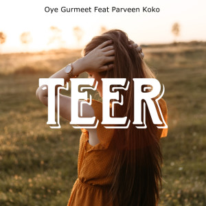 Album Teer from Oye Gurmeet