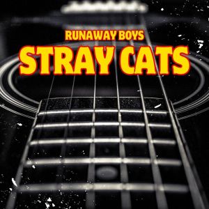 收聽Stray Cats的Rev It Up & Go (Live)歌詞歌曲