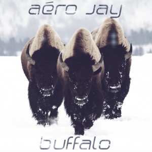 收聽Aéro Jay的Buffalo歌詞歌曲