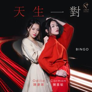 收聽BINGO的天生一對（音樂永續 作品）歌詞歌曲