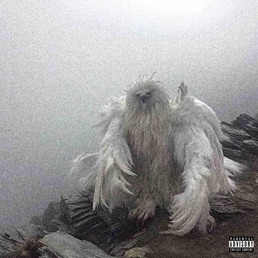 CURSE “Anime False” (Explicit)