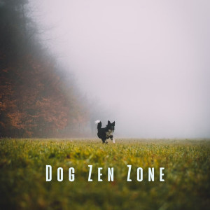 Enjoyable White Noise的專輯Dog Zen Zone: White Noise and Rain for Calming Canine Vibes