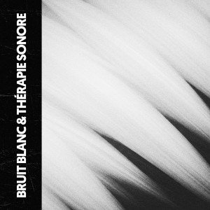 อัลบัม Bruit Blanc & Sonothérapie: Sous-Harmoniques de Paix ศิลปิน Ruido Blanco Hart