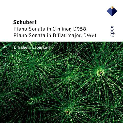 Schubert : Piano Sonata No.21 in B flat major D960 : I Molto moderato
