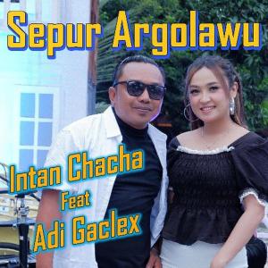 Album Sepur Argolawu oleh Adi Gaclex