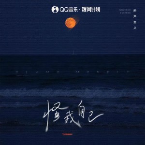 Album 怪我自己 from 