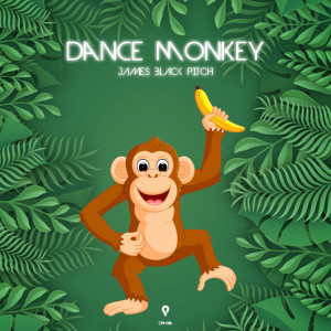 收聽James Black Pitch的Dance Monkey (Radio Edit)歌詞歌曲