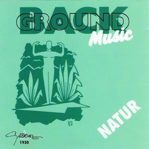 ดาวน์โหลดและฟังเพลง Die Schönheit พร้อมเนื้อเพลงจาก Backgroundmusic