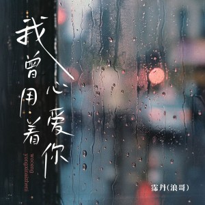 Listen to 我曾用心爱着你 song with lyrics from 浪哥