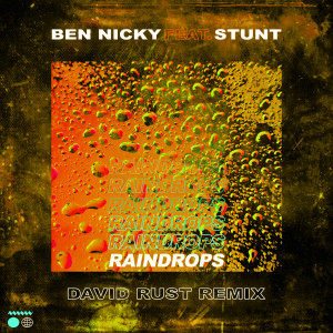 Raindrops (David Rust Remix)