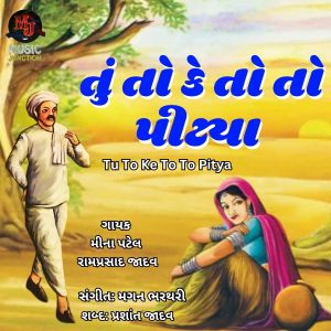 Album Tu To Ke To To Pitya from Meena Patel