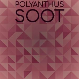 Various Artists的專輯Polyanthus Soot