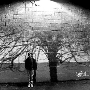 NOAlarm的專輯i don't rlly get high (feat. ryanmadeit) (Explicit)