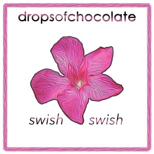 收聽Drops Of Chocolate的Swish Swish (Drops of Chocolate)歌詞歌曲