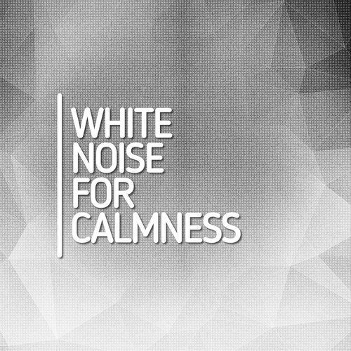 White Noise: Fans