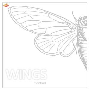 Melokind的專輯Wings