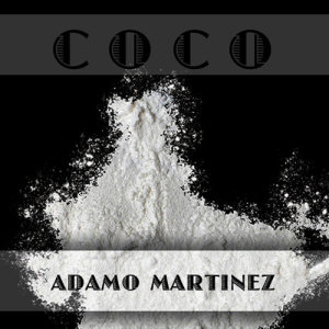 อัลบัม Coco (Explicit) ศิลปิน Adamo Martinez