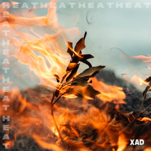 Album Heat from Xad