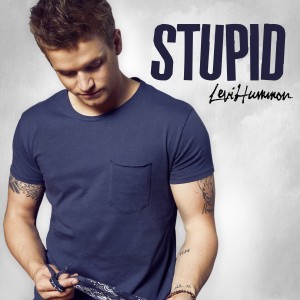 收聽Levi Hummon的Stupid歌詞歌曲
