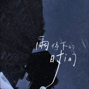 Listen to 雨停下的时间 (伴奏) song with lyrics from 曾雪祁