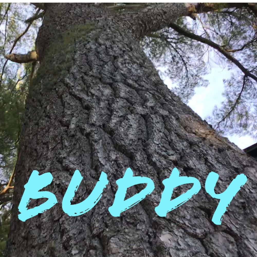 Buddy