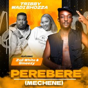 Tribby wadi bhozza的專輯Perebere (Mechene) (feat. Zoli White Smoke & SmeezyOn The Beat)
