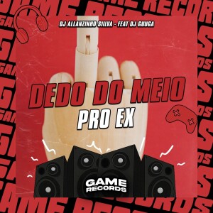 Album Dedo Do Meio Pro Ex (Explicit) from DJ Allanzinho Siilva