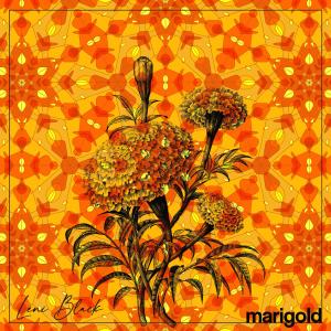 收聽Leni Black的Marigold歌詞歌曲