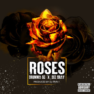 Album Roses (Explicit) from 
