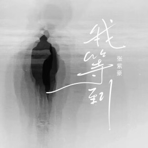 Listen to 我等到 song with lyrics from 张紫豪