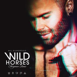 收聽Will Blunderfield的Wild Horses (Cinematic Instrumental)歌詞歌曲