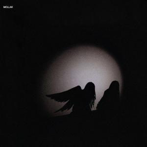 Listen to Narak song with lyrics from Jvcki Wai