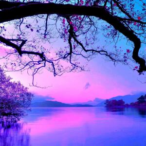 Album Soft Ambient Music With River Sounds For Meditation And Deep Sleep from Easy Sleep Music