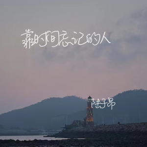 Listen to 靠时间忘记的人 song with lyrics from 陆子昂