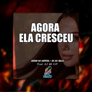 ดาวน์โหลดและฟังเพลง AGORA ELA CRESCEU (Explicit) พร้อมเนื้อเพลงจาก Mp Studio
